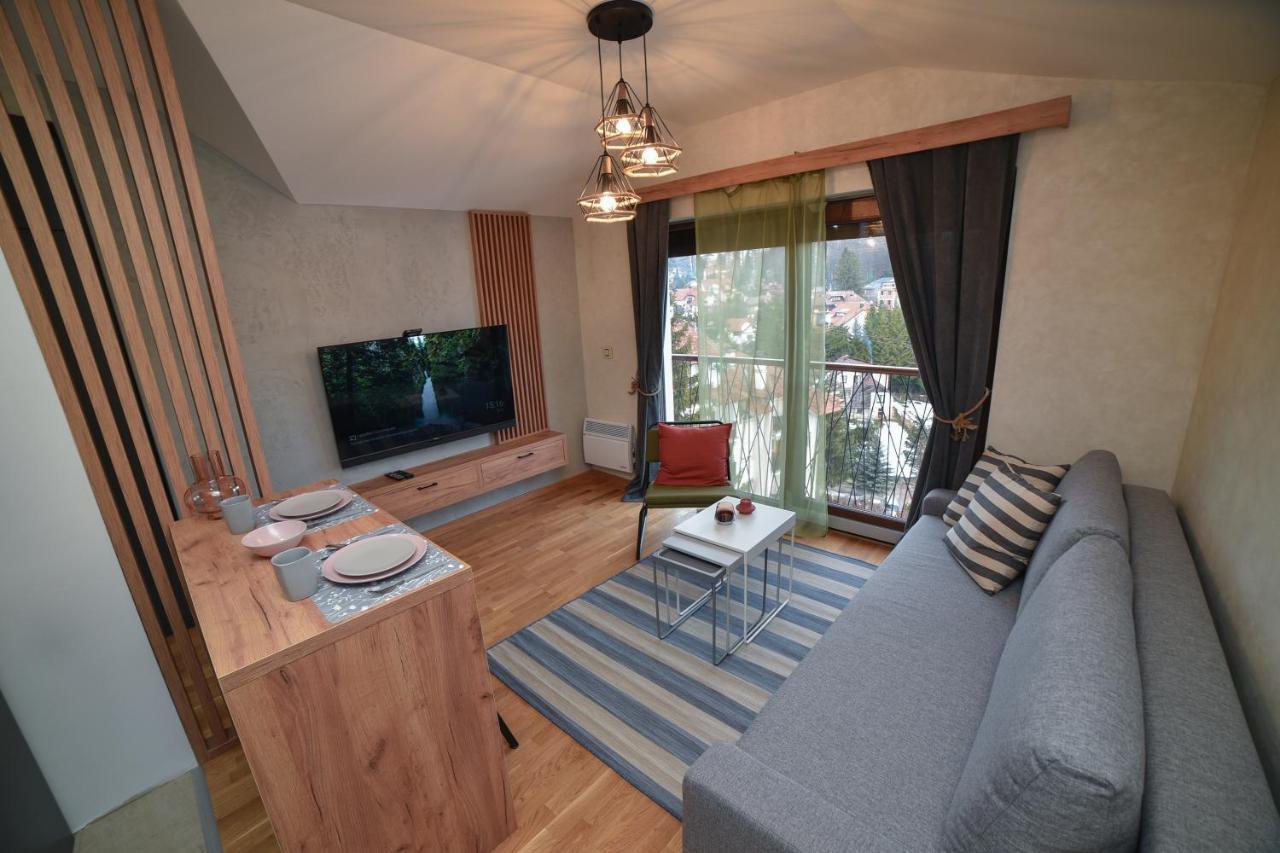 Aria Club Wellness&Spa Zlatibor Bagian luar foto